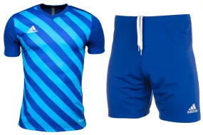adidas Sport-Set T-shirt Kurze Hose Entrada 22 Gfx Jsy HF0116/HG6294